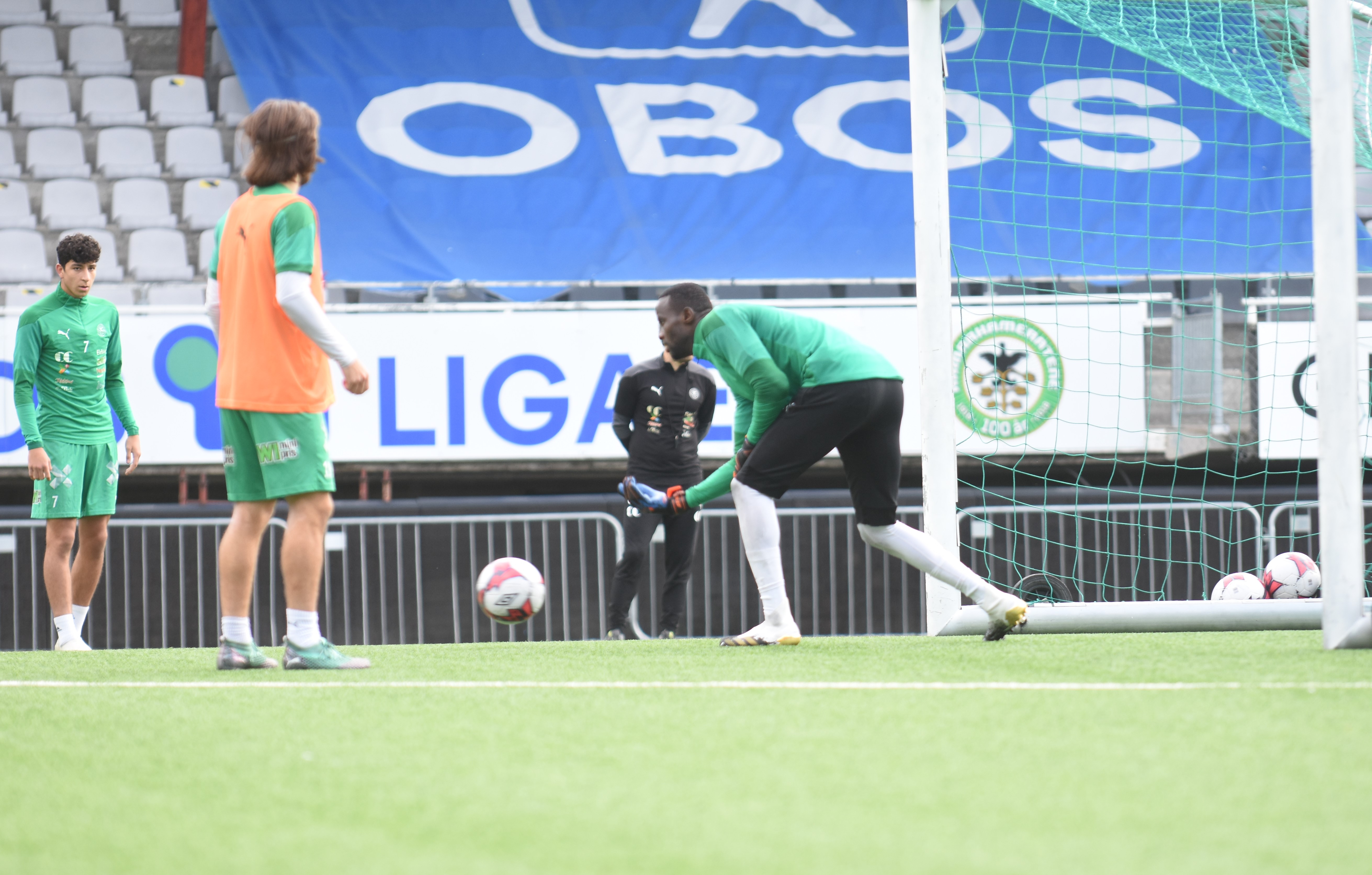 - Skal bidra med å berge plassen